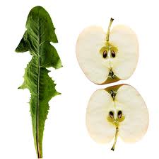 اسرار خوراکی ها